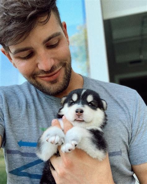 daniel x prada|daniel preda dog.